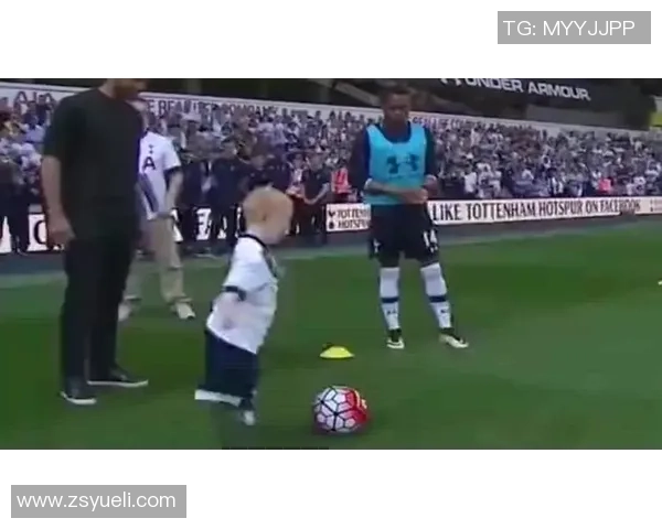 足球明星背景装饰画的魅力与艺术价值探讨